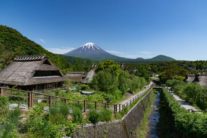 西湖いやしの里 根場 1