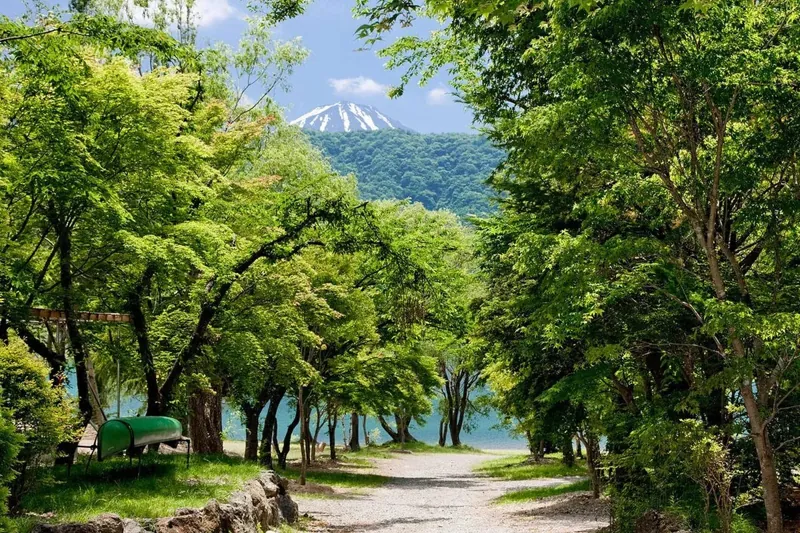 富士西湖温泉 いずみの湯 2