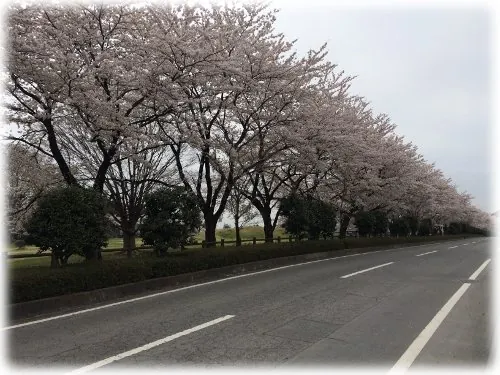 花木農産物直売所 さんぽ道 2