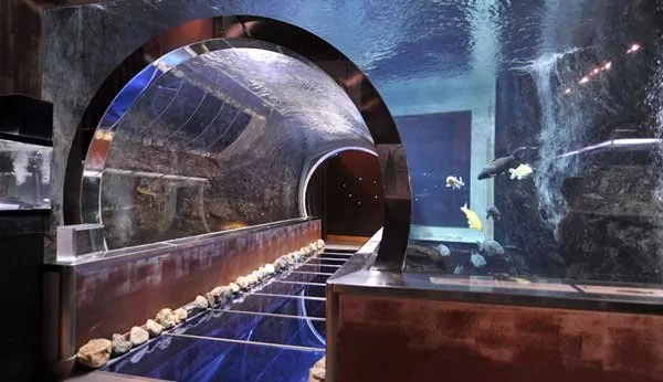 道の駅 みなかみ水紀行館 1