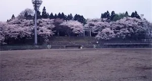 御殿山公園 1