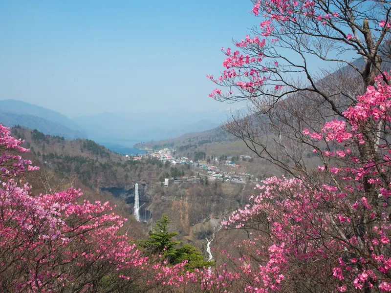 華厳滝 1