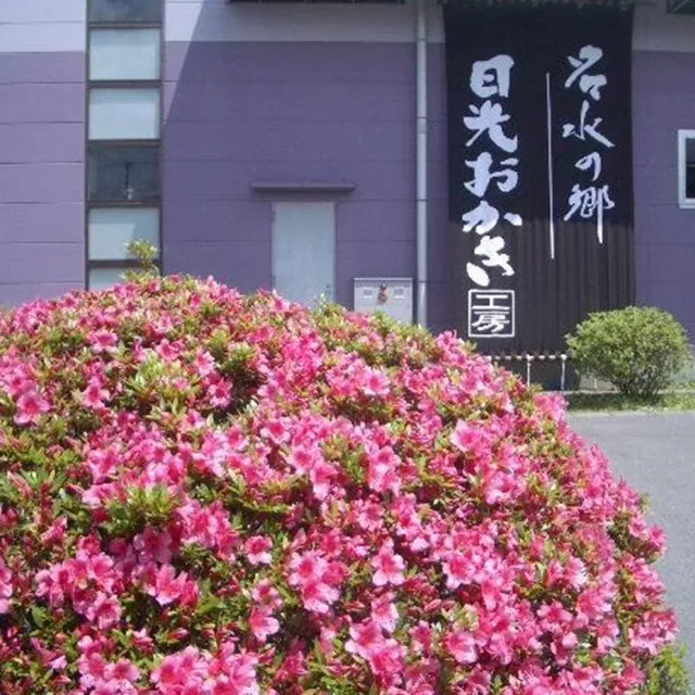日光さかえや 揚げゆばまんじゅう本舗 2