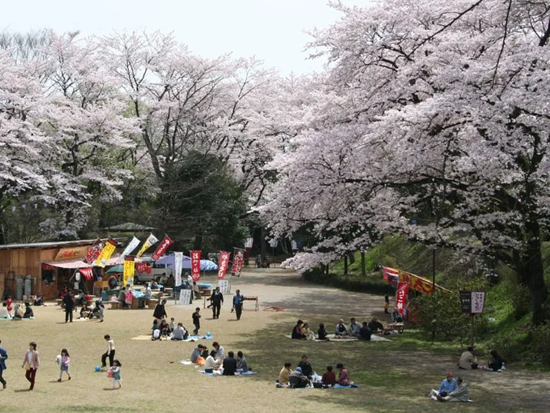 龍城公園 1