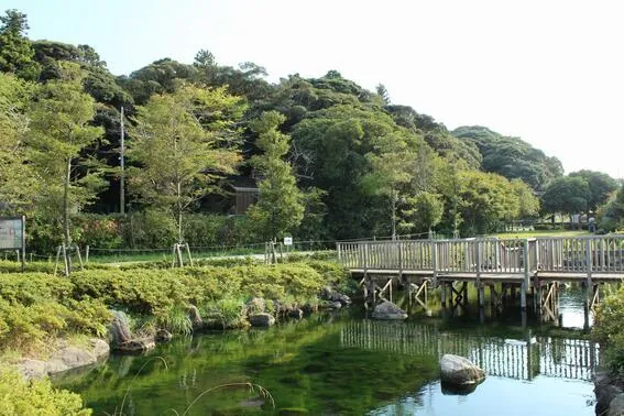 イトヨの里泉が森公園 1