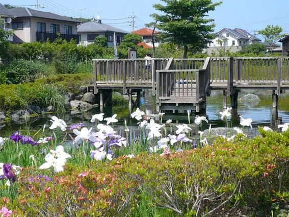 イトヨの里泉が森公園 2