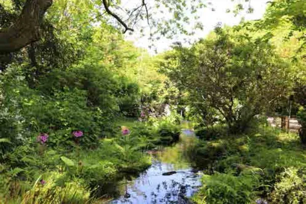 国立科学博物館筑波実験植物園