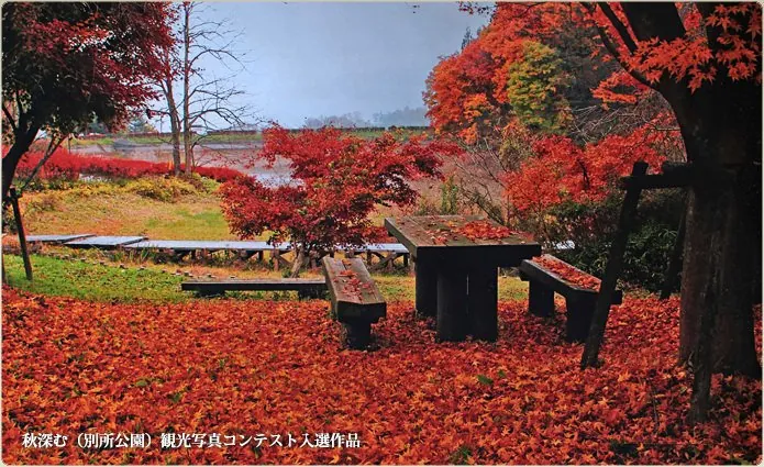 別所温泉 大湯 2