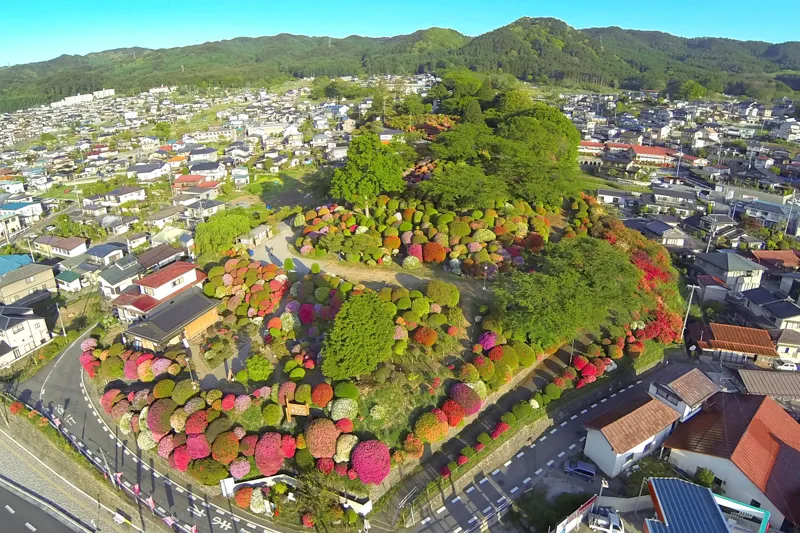 鶴峯公園