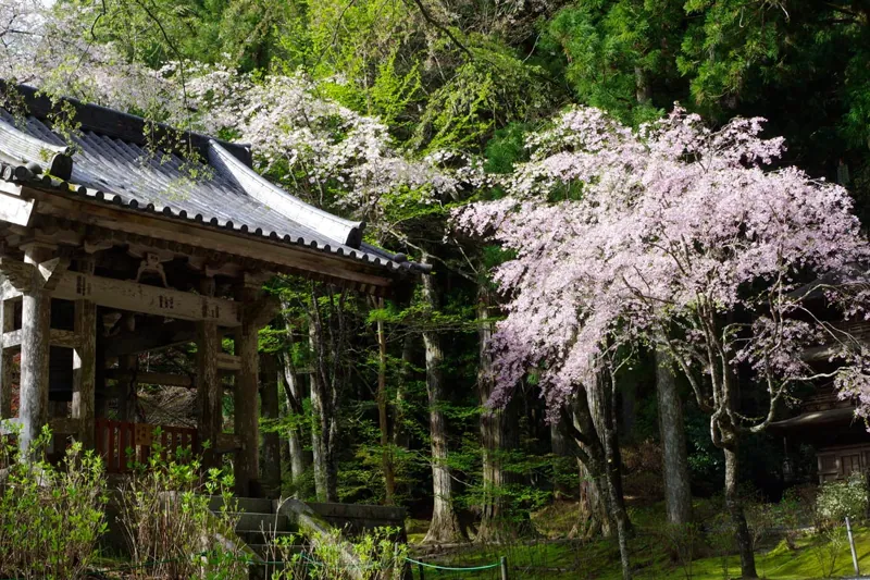 光前寺