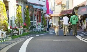 旧軽井沢銀座商店街 2