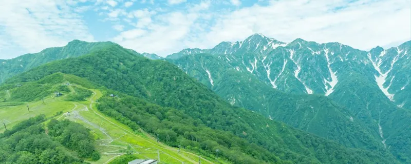 白馬五竜高山植物園(ゴンドラでアクセス)