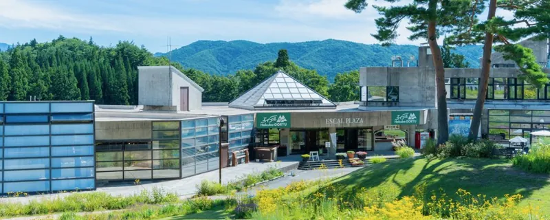 白馬五竜高山植物園(ゴンドラでアクセス) 2
