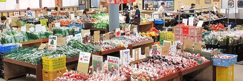 わくわくファーム 豊栄店