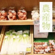 道の駅 クロステン十日町