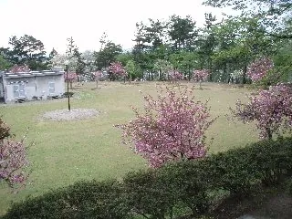 観音山公園