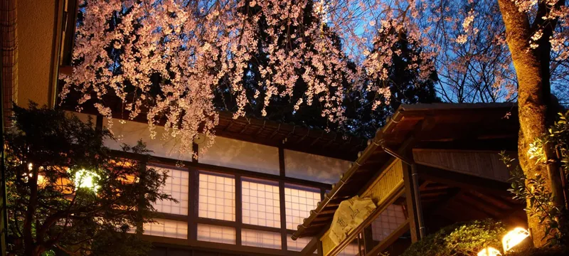 Yama Cafe 1