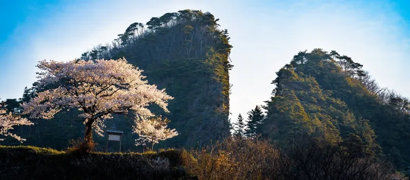 佐渡市立佐渡植物園 1