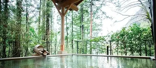 奥多摩温泉 もえぎの湯 1