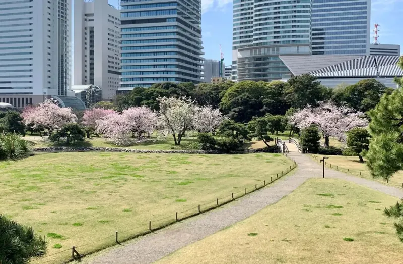 浜離宮恩賜庭園 1