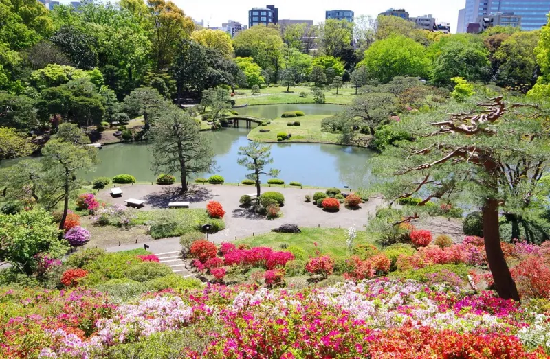 六義園 2