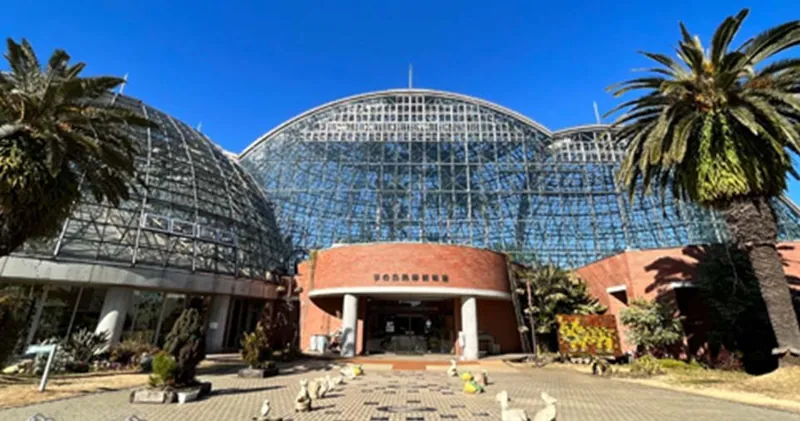 夢の島熱帯植物館 2
