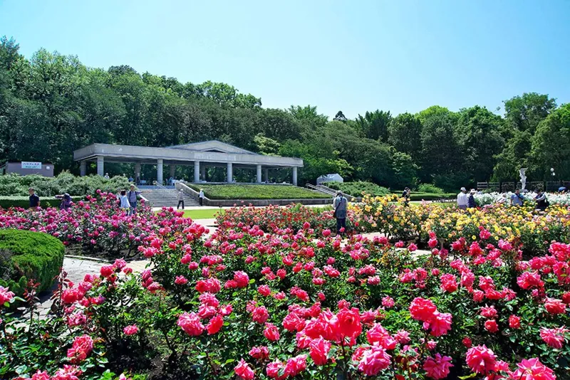向島百花園 2
