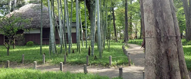 蘆花恒春園 2