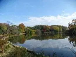善福寺公園 2