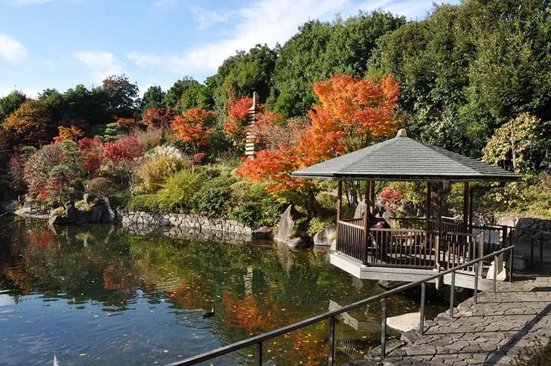 豊島区立目白庭園