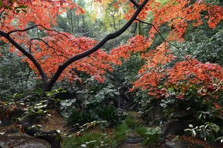 名主の滝公園