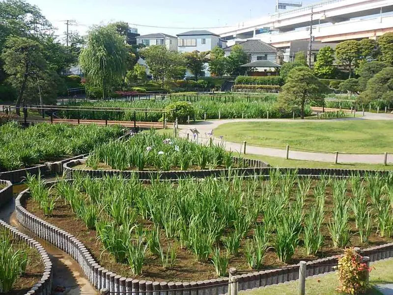 堀切菖蒲園