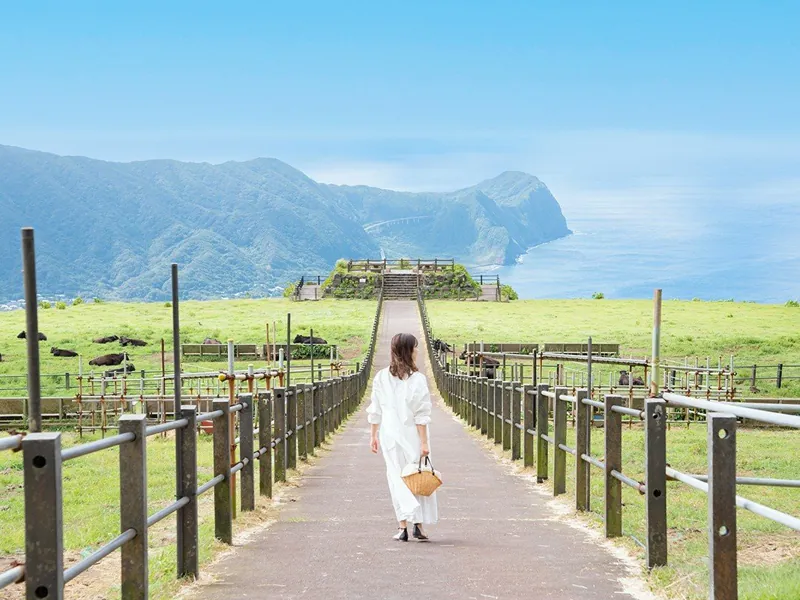 大潟浦園地 1