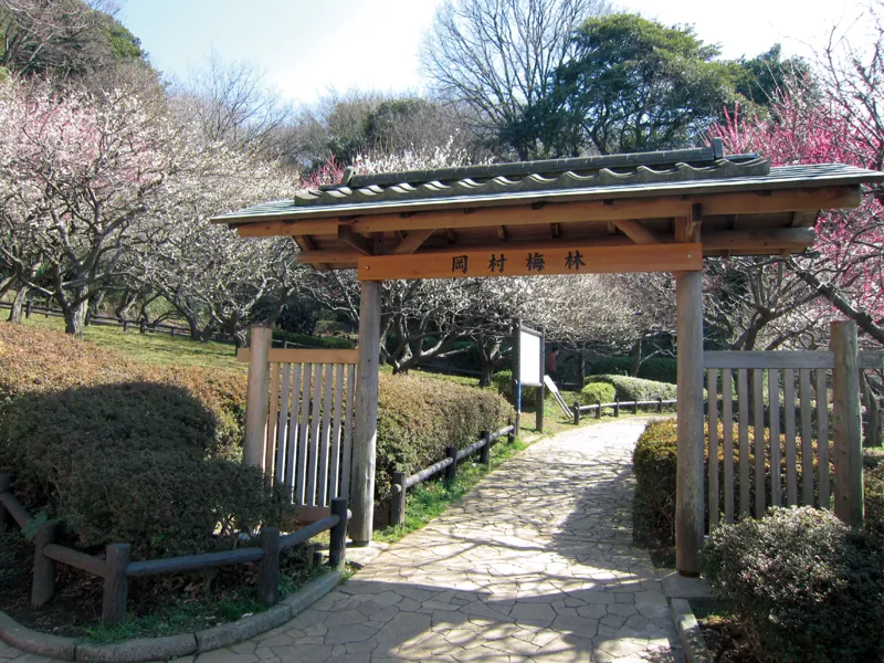 岡村梅林