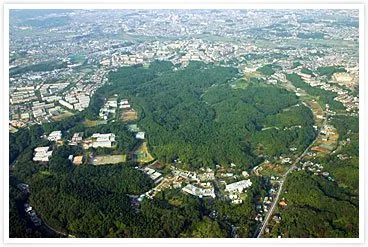 新治市民の森 1