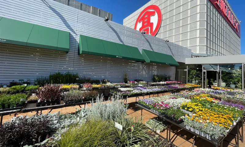 プロトリーフ ゆめが丘ソラトス店