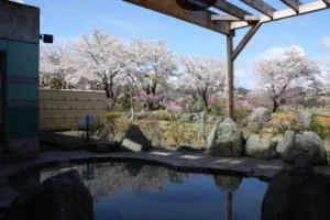 藤野やまなみ温泉 1