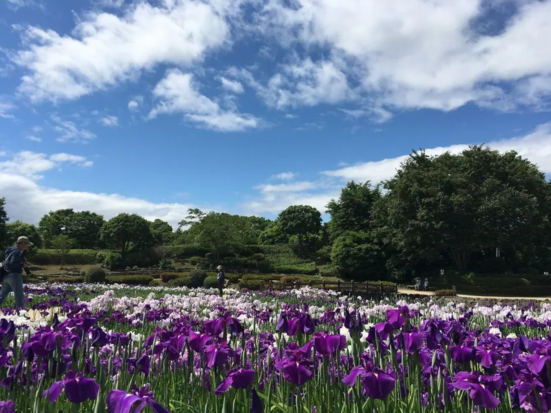 相模原公園