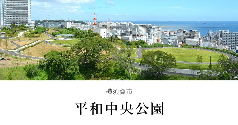 平和中央公園 1