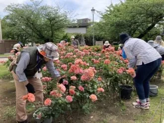 ヴェルニー公園 1