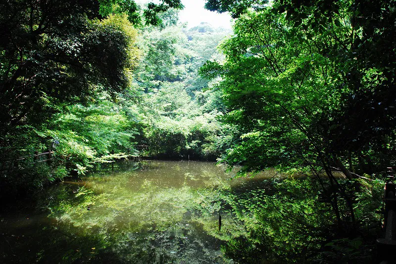 光の丘水辺公園