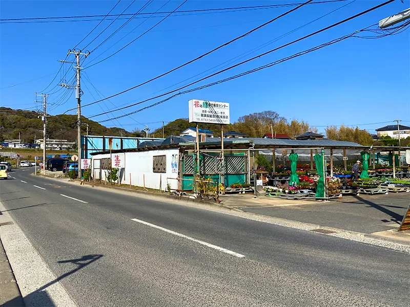 横須賀園芸（株） 長坂店