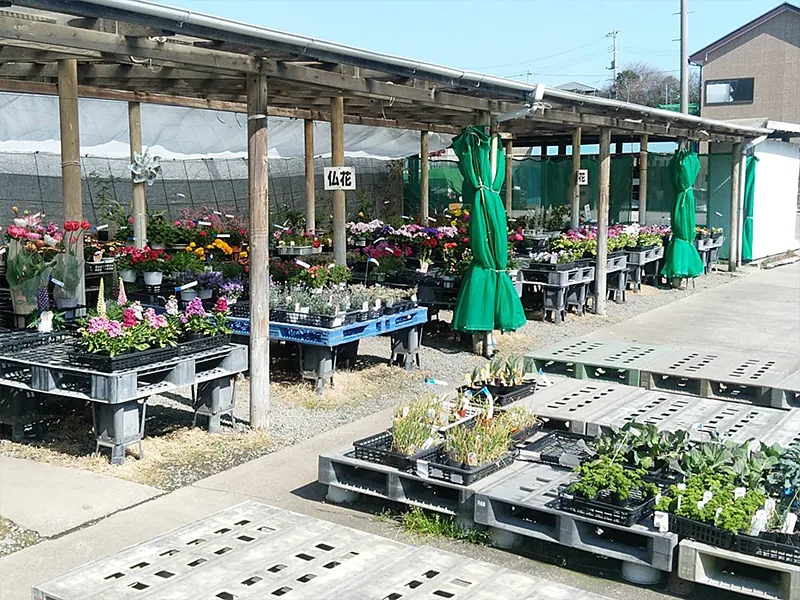 横須賀園芸(株) 長坂店 2
