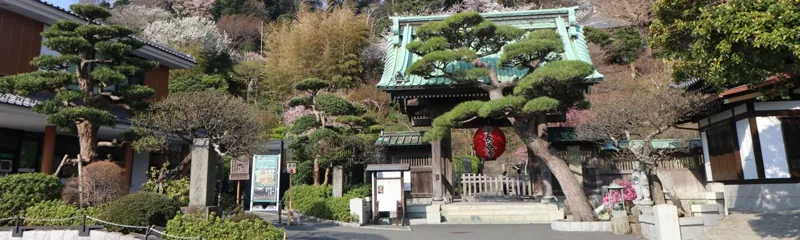 長谷寺