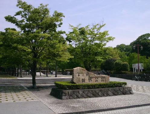 新林公園 1