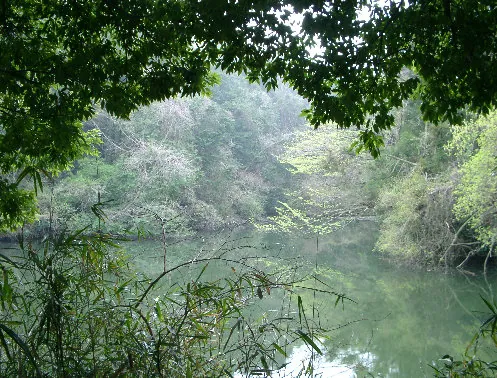 新林公園 2