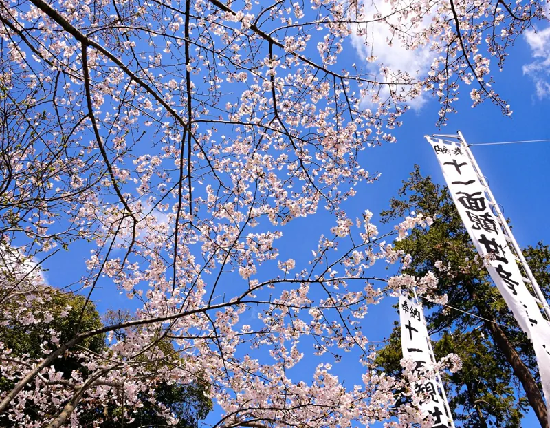飯山観音 長谷寺 2