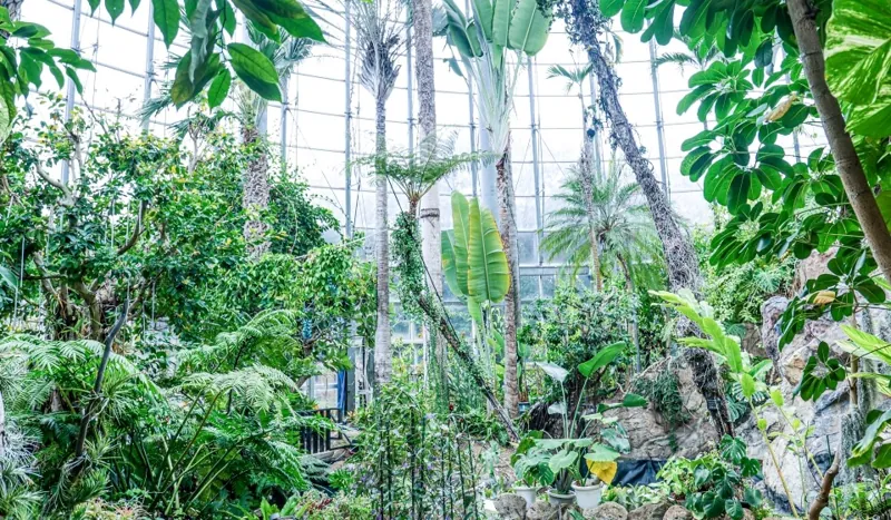 BOTANICA MUSEUM