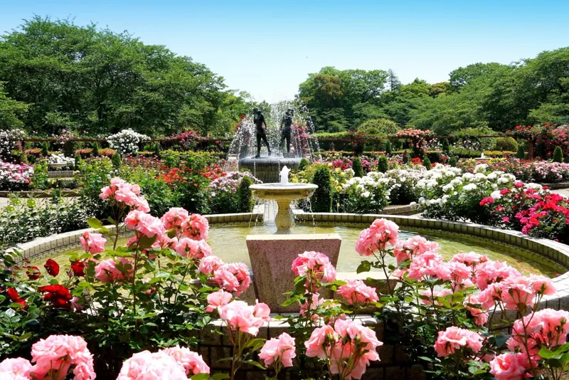 里見公園